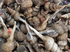 -中国舟山国际水产城