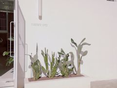 -花沐 FLOWER BATH(凤凰城店)