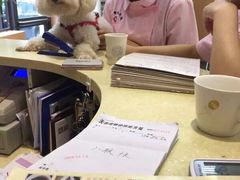 iphone_upload_pic-瑞派天使宠物医院·神经外科·骨科·核磁(洛川中路店)