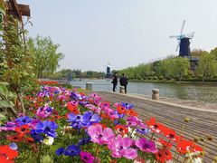 -上海鲜花港