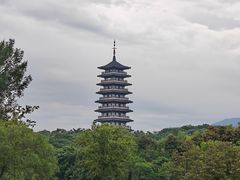 -宜兴龙背山森林公园