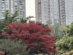 -中山公园