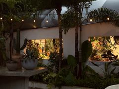 -自由生长植物工作室(深港花卉中心店)