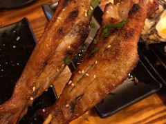 -土蚝·高压锅生蚝(百姓美食街店)