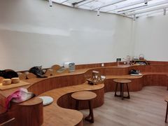 -有猫主题·治愈系猫咖(曾厝垵店)