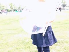 -荷兰花海