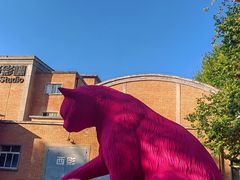 -西安电影制片厂