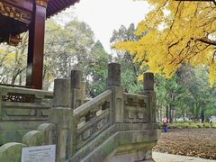 -汇龙潭