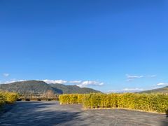 -和顺古镇