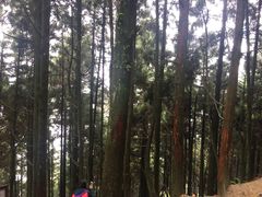 -井冈山风景名胜区-黄洋界