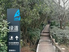 -新江湾城公园