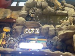 -卡通尼·Safari非洲探索乐园·生日会(金桥国际商业广场店)