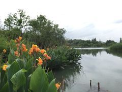 -贵阳市花溪国家城市湿地公园