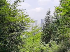 -桃花岭景区