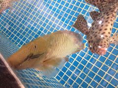 iphone_upload_pic-聚兴海鲜城(环市北路店)