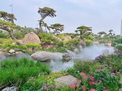 -罗红摄影艺术馆