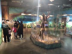 -昆明大悦城未来动物城(螺蛳湾中心店)