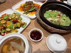 啫啫莴苣片-顺风汤馆·广府粤菜(江宸天街店)