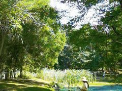 -长白岛森林公园