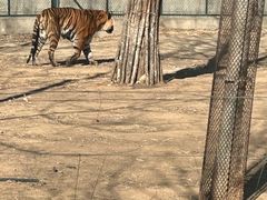 -秦皇岛野生动物园