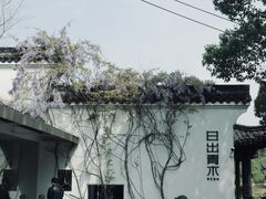 -日出青木