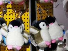 -太平洋海底世界