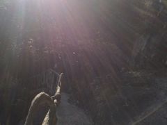 -花岩国家森林公园