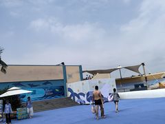 -秦皇岛乐岛海洋王国