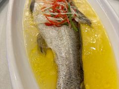 -聚鑫阁江浙菜·非遗传承技艺(青村帝华园店)