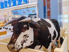 -红星前进面包牛奶公司(君太店)