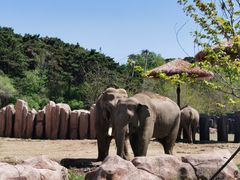-沈阳森林动物园