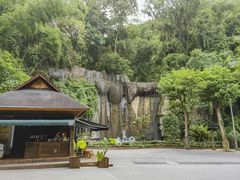 -西双版纳原始森林公园
