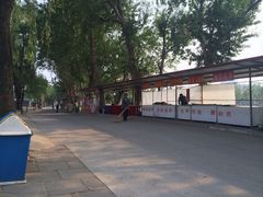 集发农业观光园-北戴河集发农业梦想王国