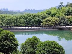 -九龙潭景区