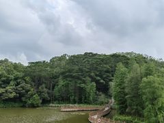 -番禺大夫山森林公园
