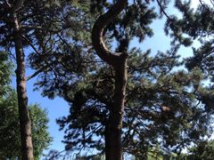 -长春市南湖公园