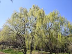 -蜀冈西峰生态公园