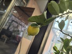 -二当家山庄(崮五路店)