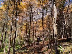 -阿坝州汶川特别旅游区