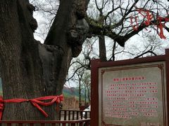 -康陵正德春饼宴26号