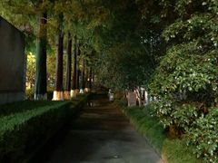 -上海大学(嘉定校区)