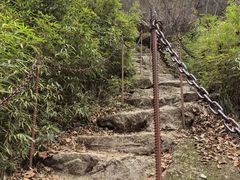 -王顺山国家森林公园