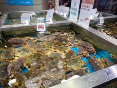 水产区-盒马鲜生(189购物中心店)