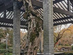 -东山雕花楼