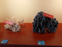 -北戴河圣蓝海洋公园