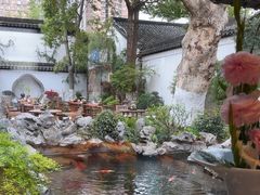 -鲤院·新中式美学·庭院餐厅(夫子庙店)
