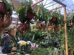 -秦美花卉(天朗·莱茵小城2期店)
