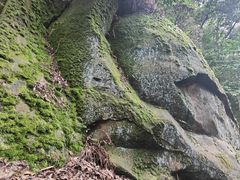-缙云山景区