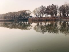 -大兴滨河森林公园