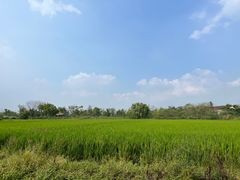 -广富林郊野公园